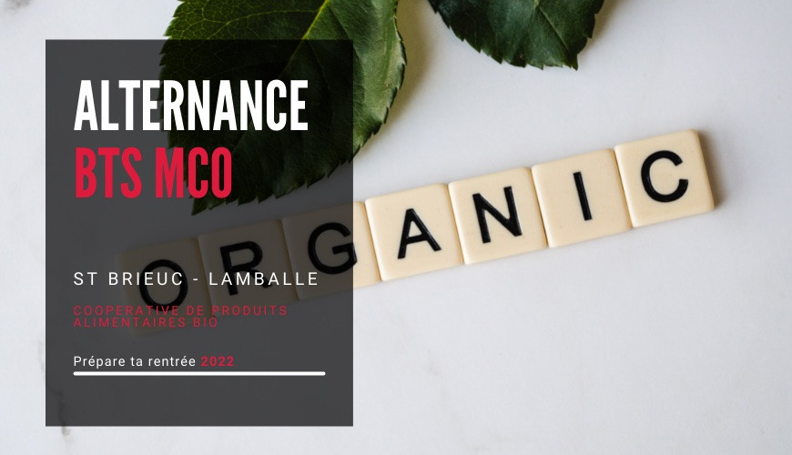 Offre d'emploi en alternance BTS MCO coopérative de produits alimentaires bio