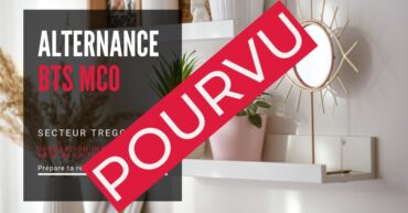 Offre d'emploi en alternance BTS MCO boutique de décoration intérieure et arts de la table