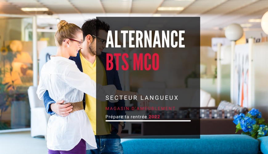 Offre d'emploi en alternance BTS MCO magasin d'ameublement