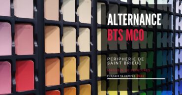 Offre d'emploi en alternance BTS MCO magasin de peintures