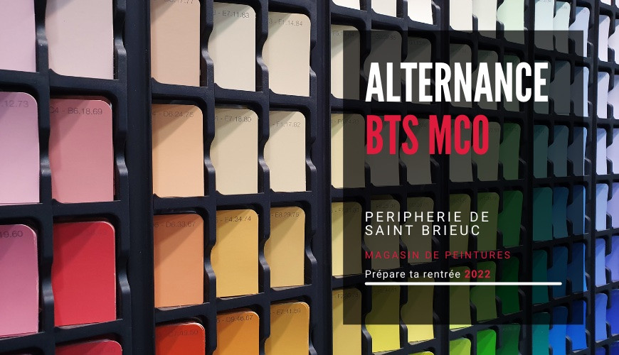 Offre d'emploi en alternance BTS MCO magasin de peintures